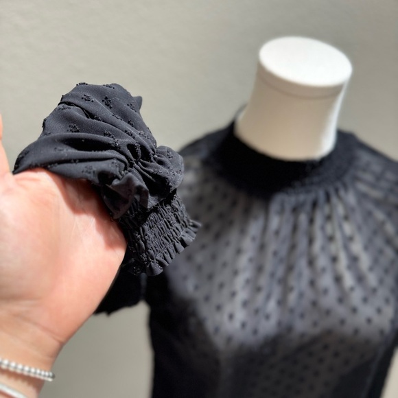 H&M Elegant Sheer Black Chiffon Blouse With Smocking and Textured Hearts Size 2 - Picture 3 of 15